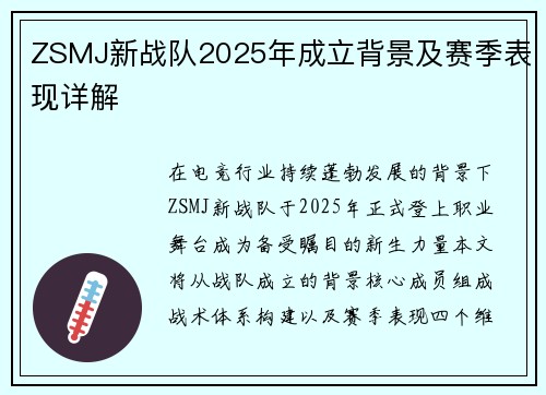 ZSMJ新战队2025年成立背景及赛季表现详解
